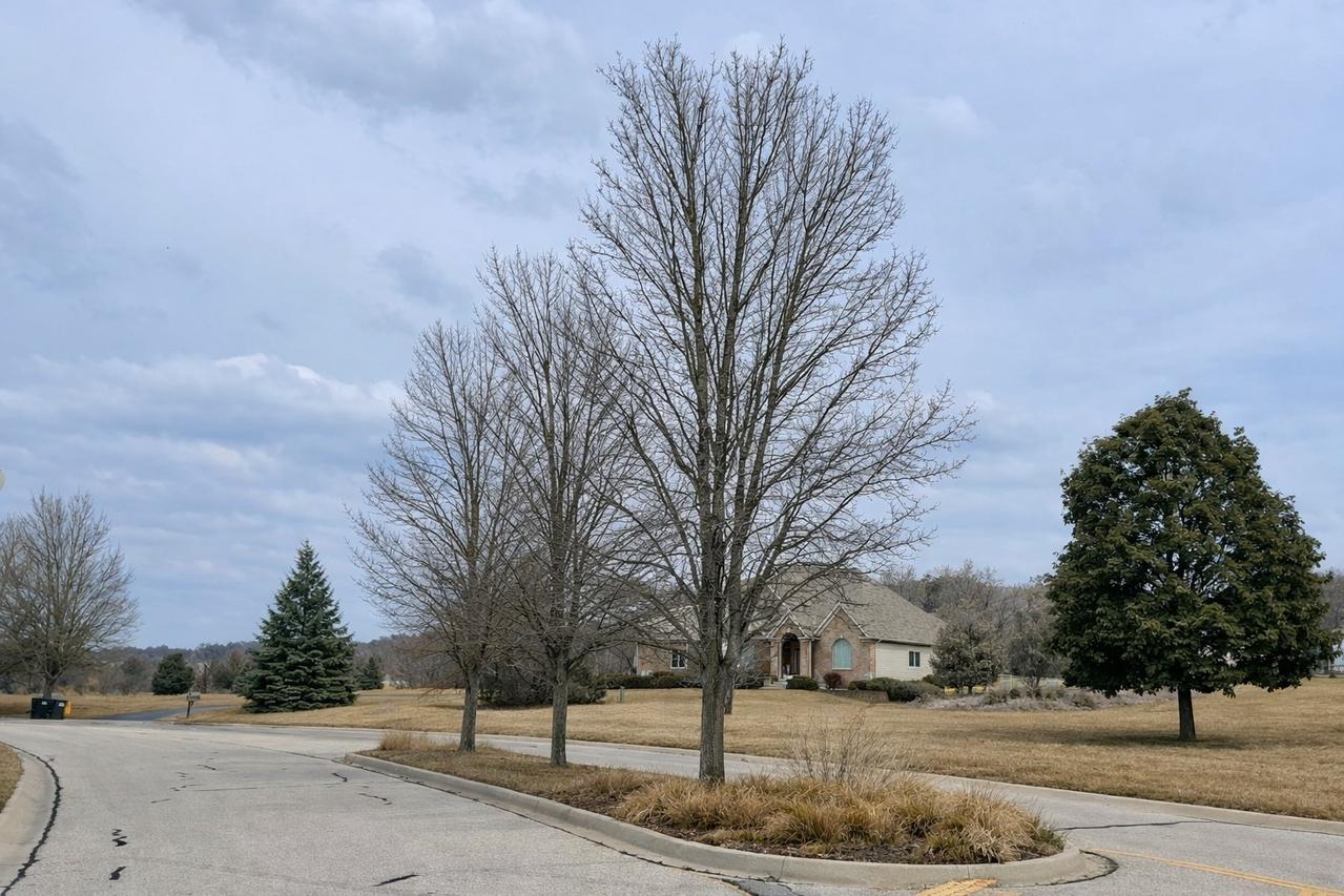 1715 Cedar Ln., Spring Grove, IL 60081