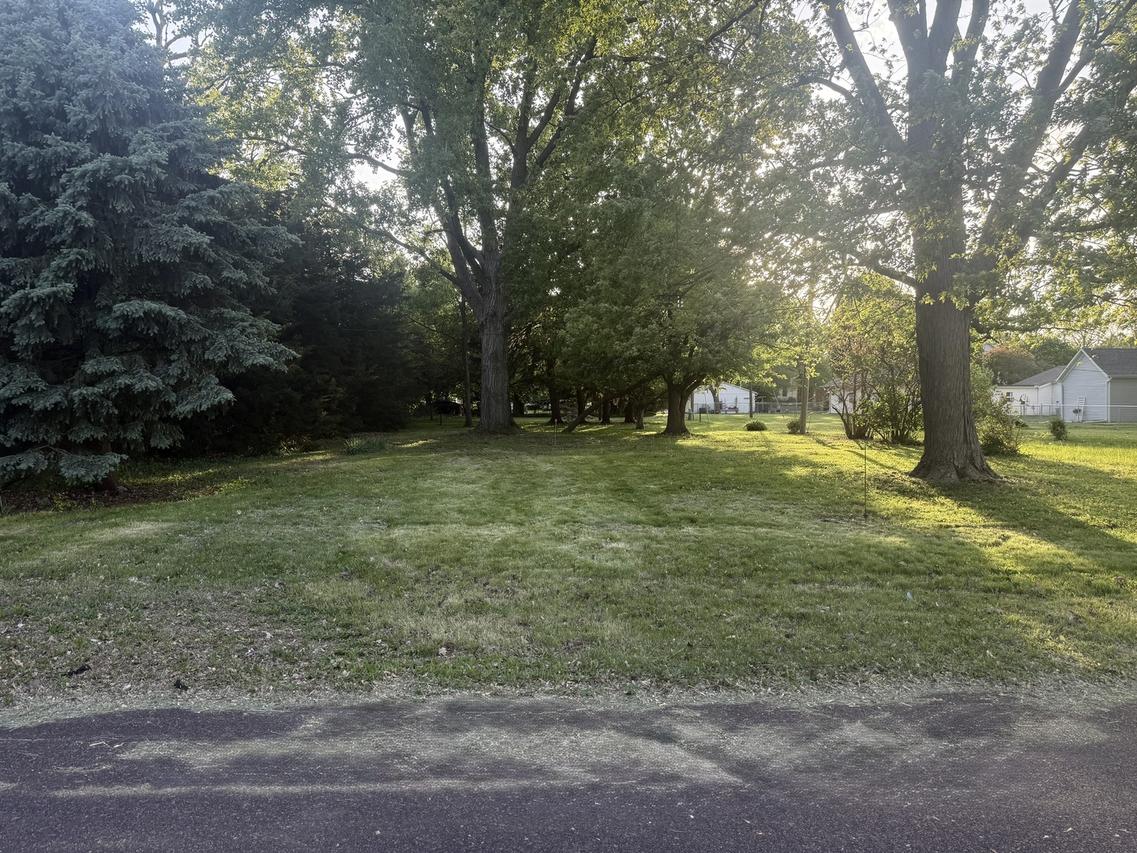 109 S Eastern Ave., Minier, IL 61759