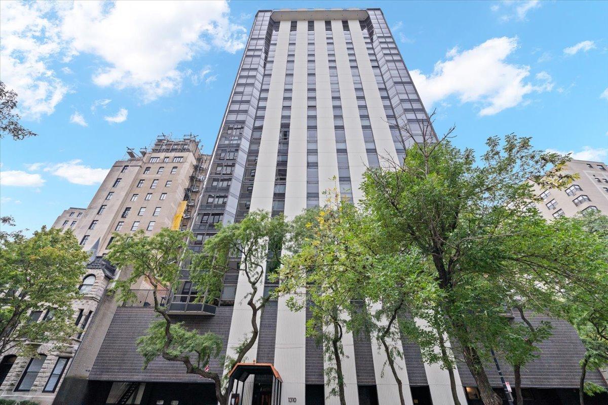 1310 N Ritchie Ct. #3A, Chicago, IL 60610