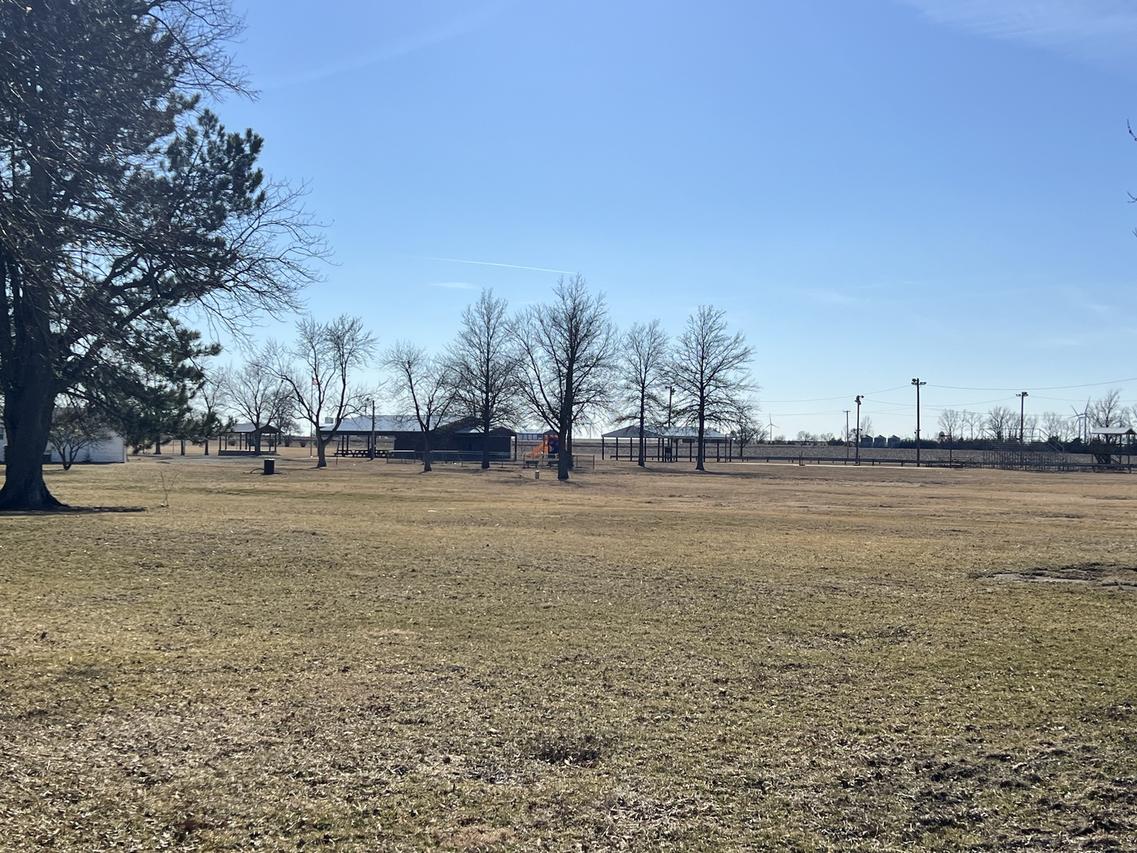 203 W 5th Ave., Rankin, IL 60960