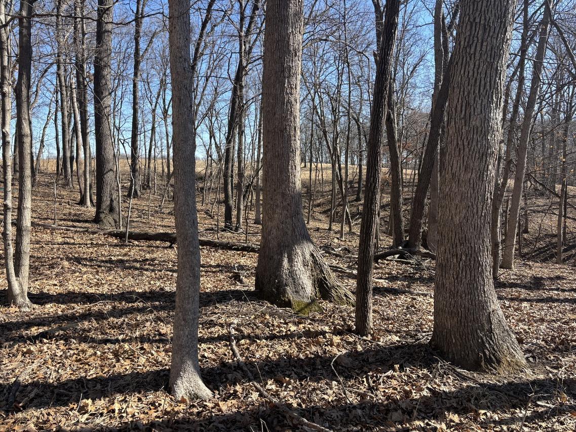 1742 Tanglewood Dr., Varna, IL 61375