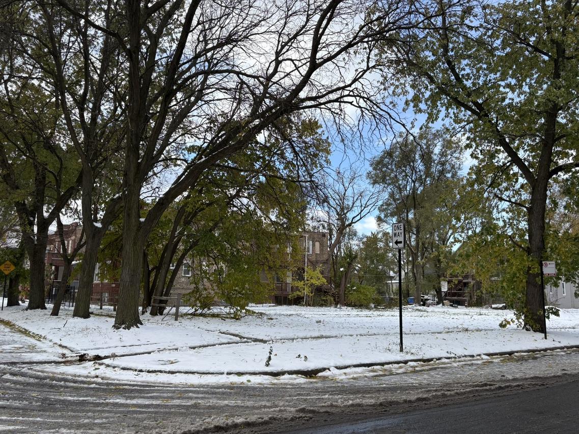 7300 S Dante Ave., Chicago, IL 60619