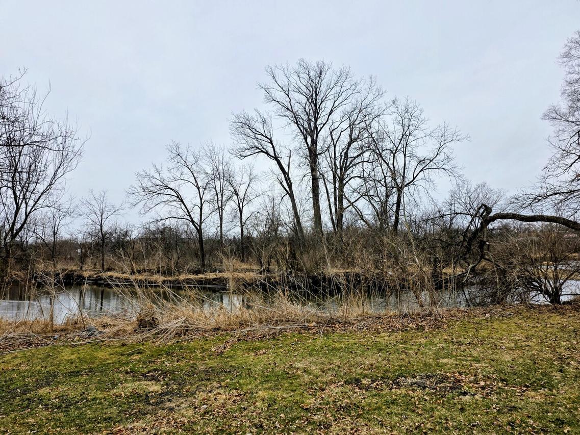 Lot 207 N Cedar Rd., New Lenox, IL 60451