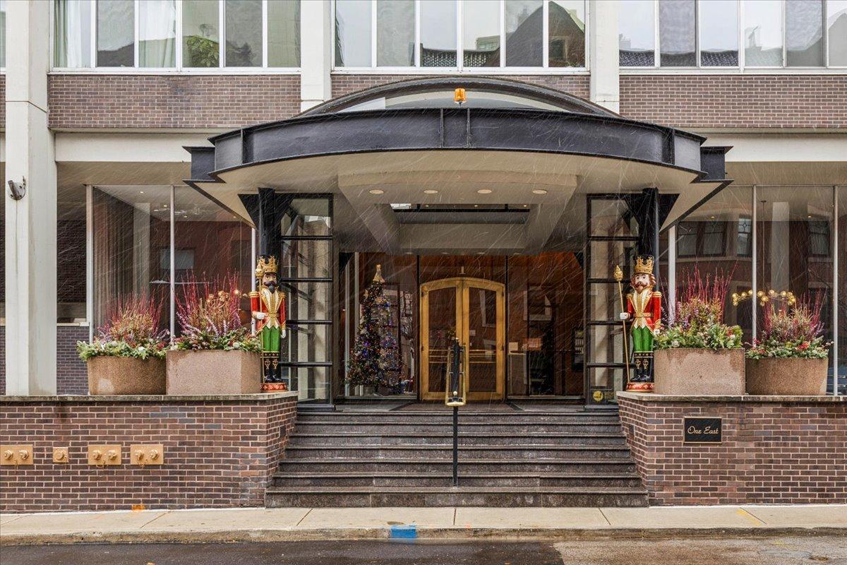 1 E Schiller St. #22A, Chicago, IL 60610