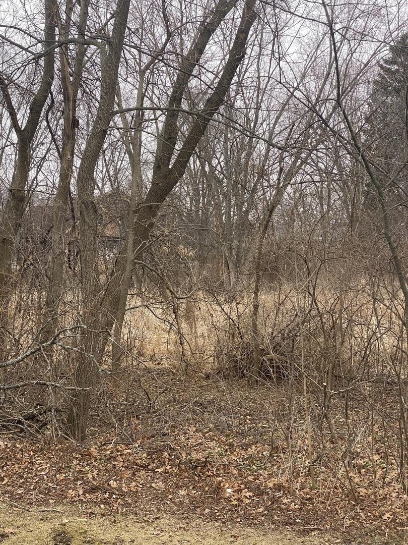 21177 N Valley Rd., Kildeer, IL 60047