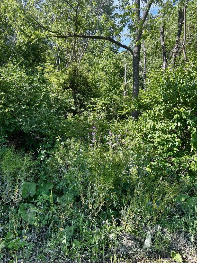 21177 N Valley Rd., Kildeer, IL 60047