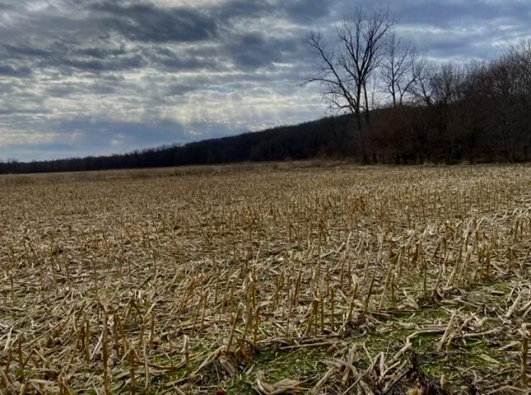 1489 E 2723rd Ln., Clayton, IL 62324