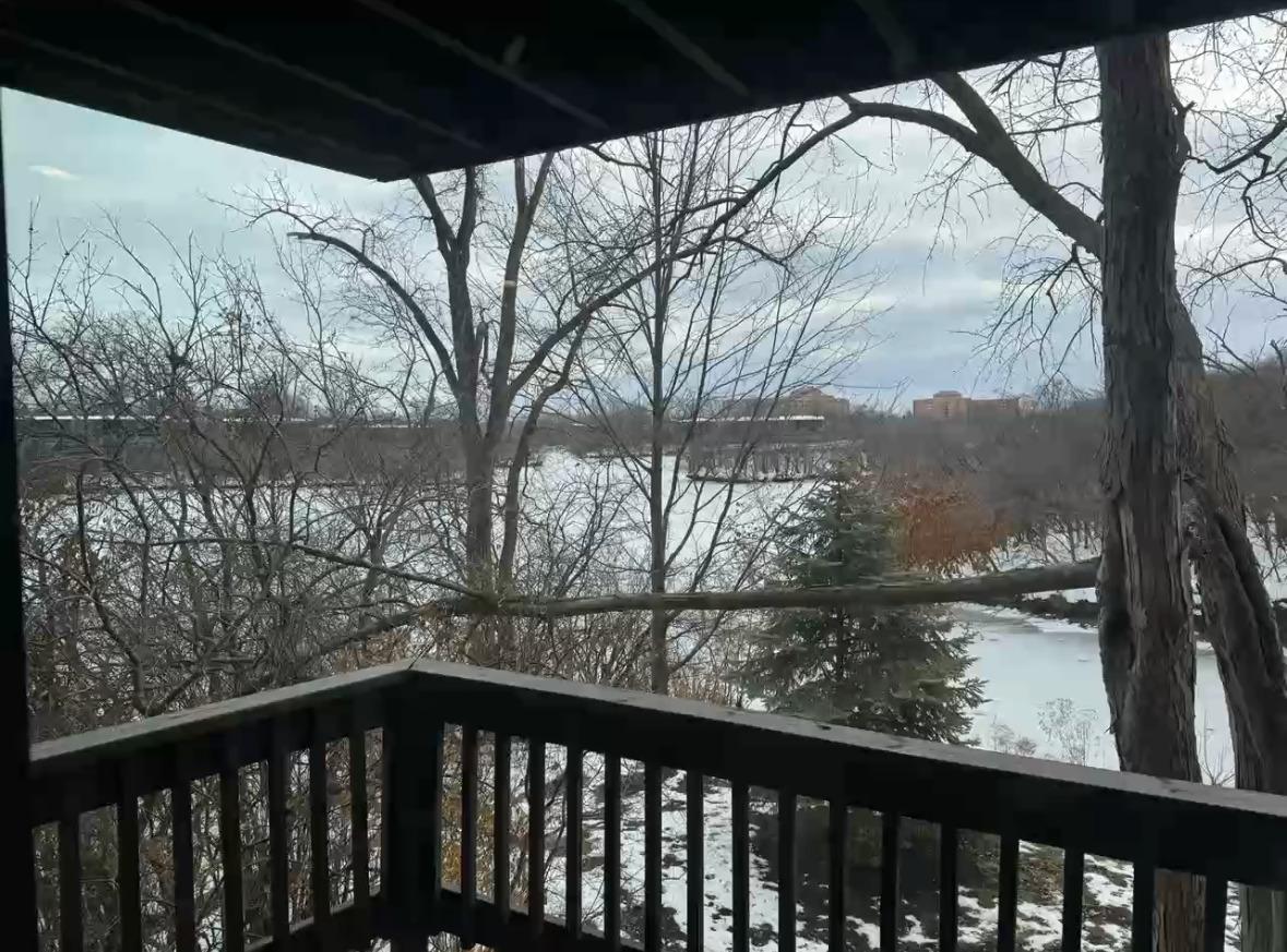 1615 Maple Ter. #115-1L, Lisle, IL 60532