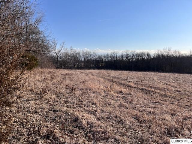 Sec 16 E 2150th Pl., Liberty, IL 62347