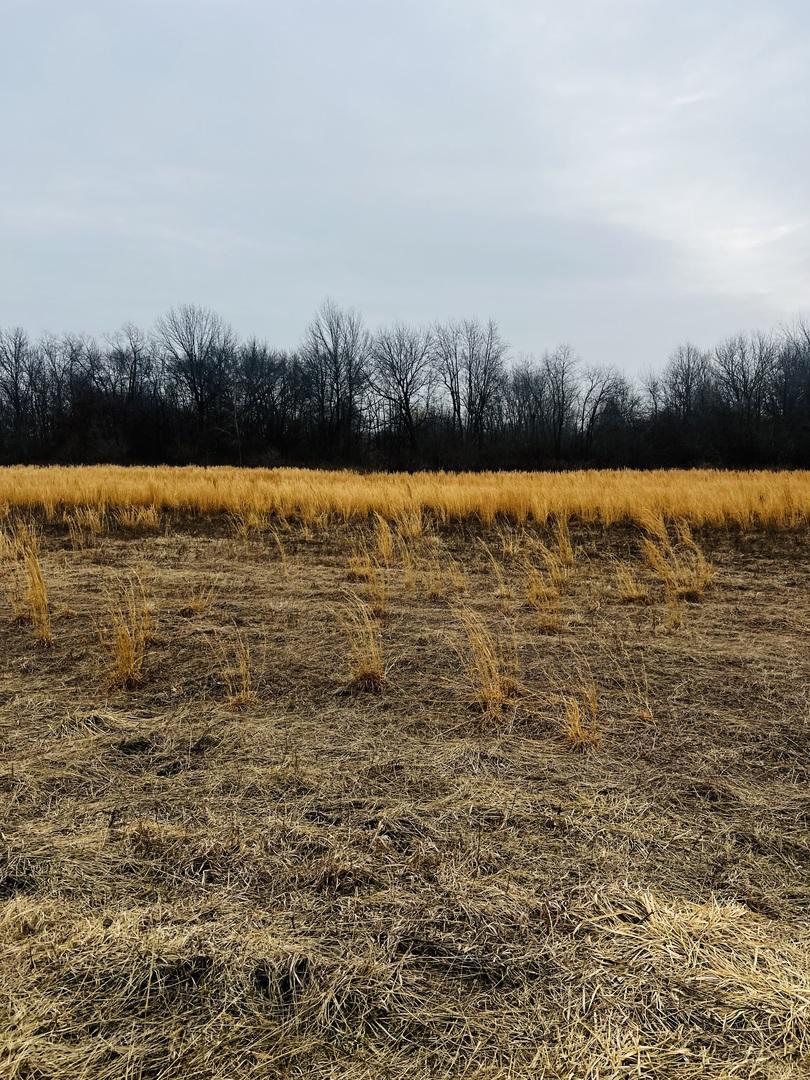 0000 4750 Rd., Pembroke Twp, IL 60958