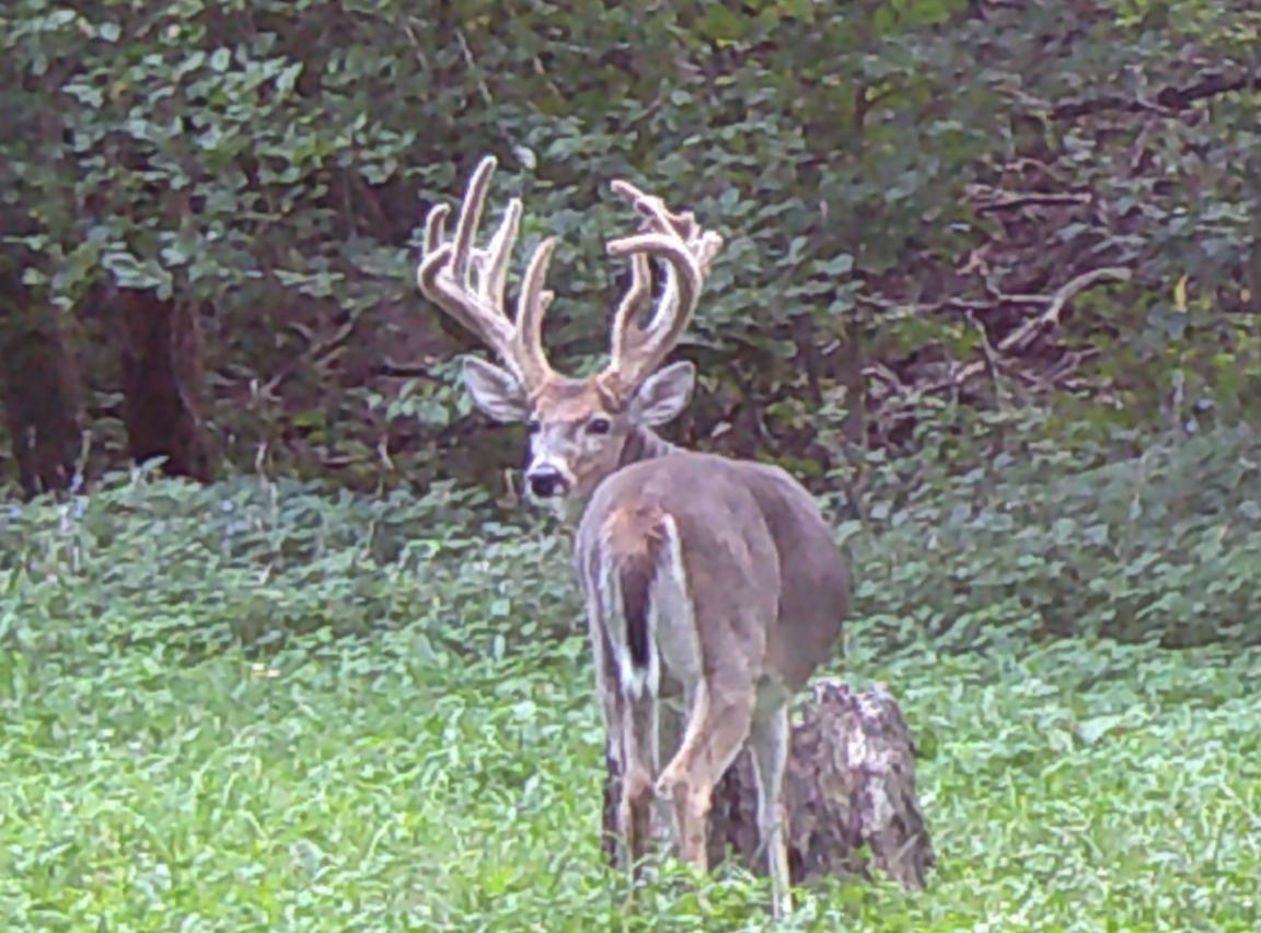 000 E 200th Ave., Mason, IL 62443