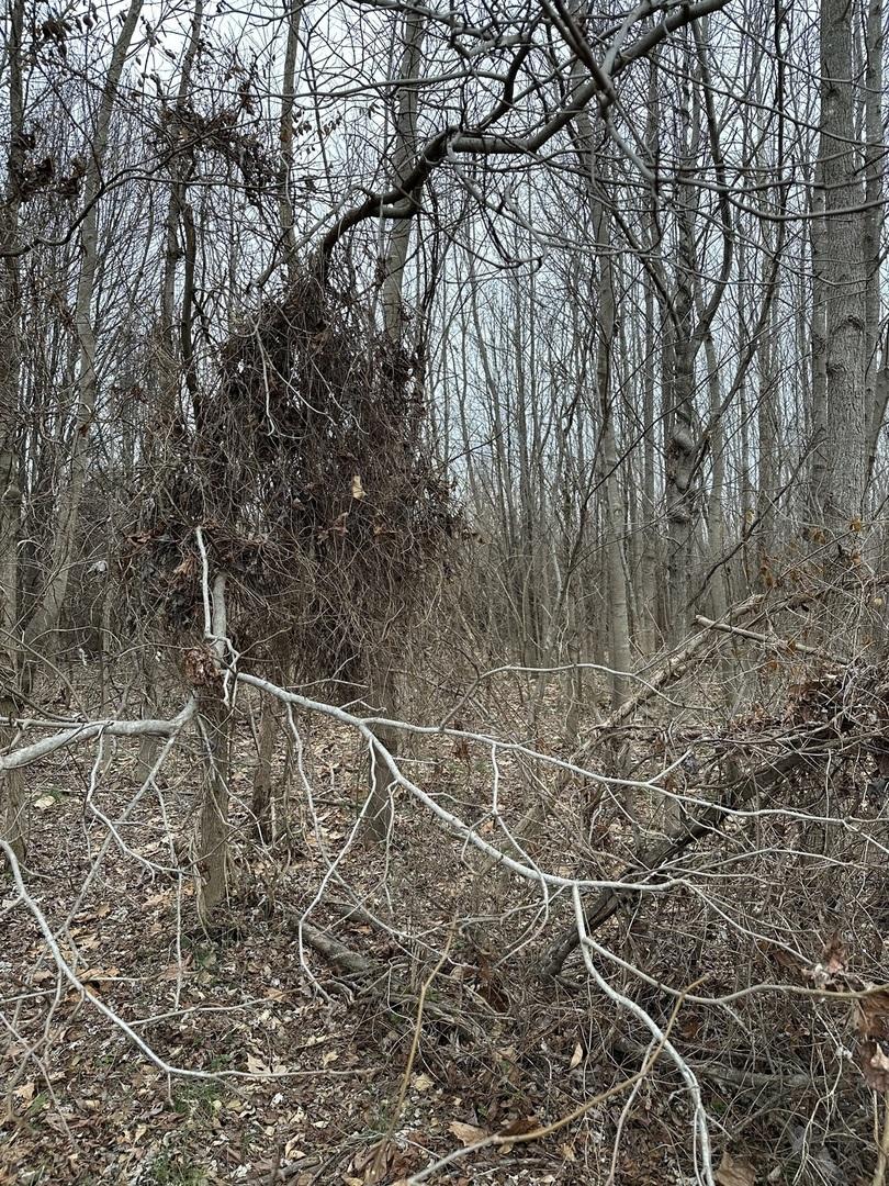 Lot 1 Pecan Rd., Duquoin, IL 62832