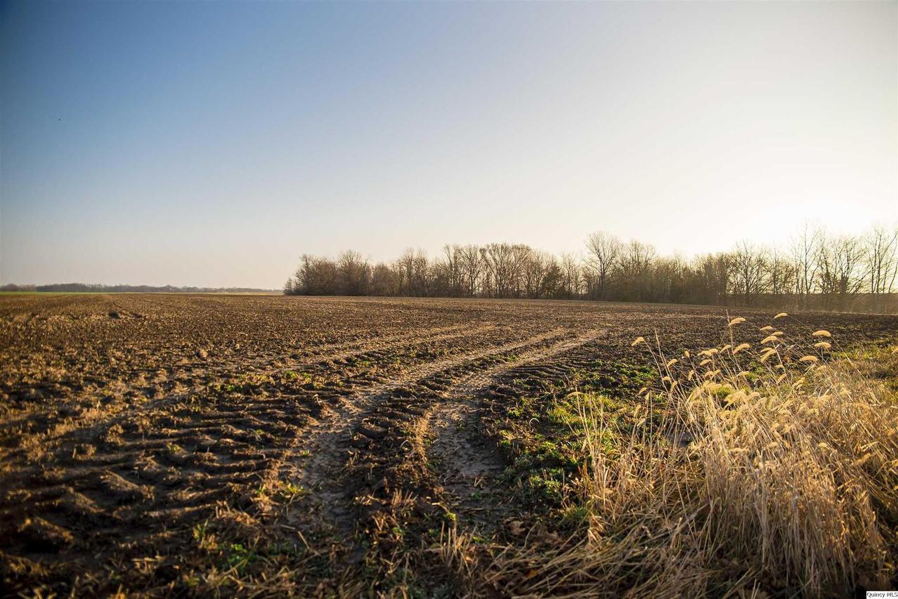 SE SEC 23 Keene Township, Loraine, IL 62349