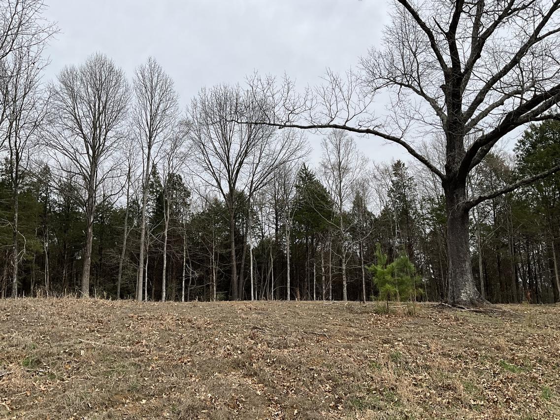 305 Pecan Point, Goreville, IL 62939