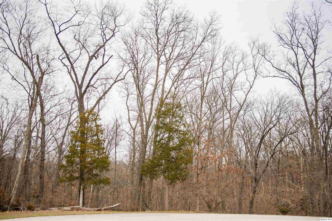 4611 Barbara Jane Ct., Quincy, IL 62305