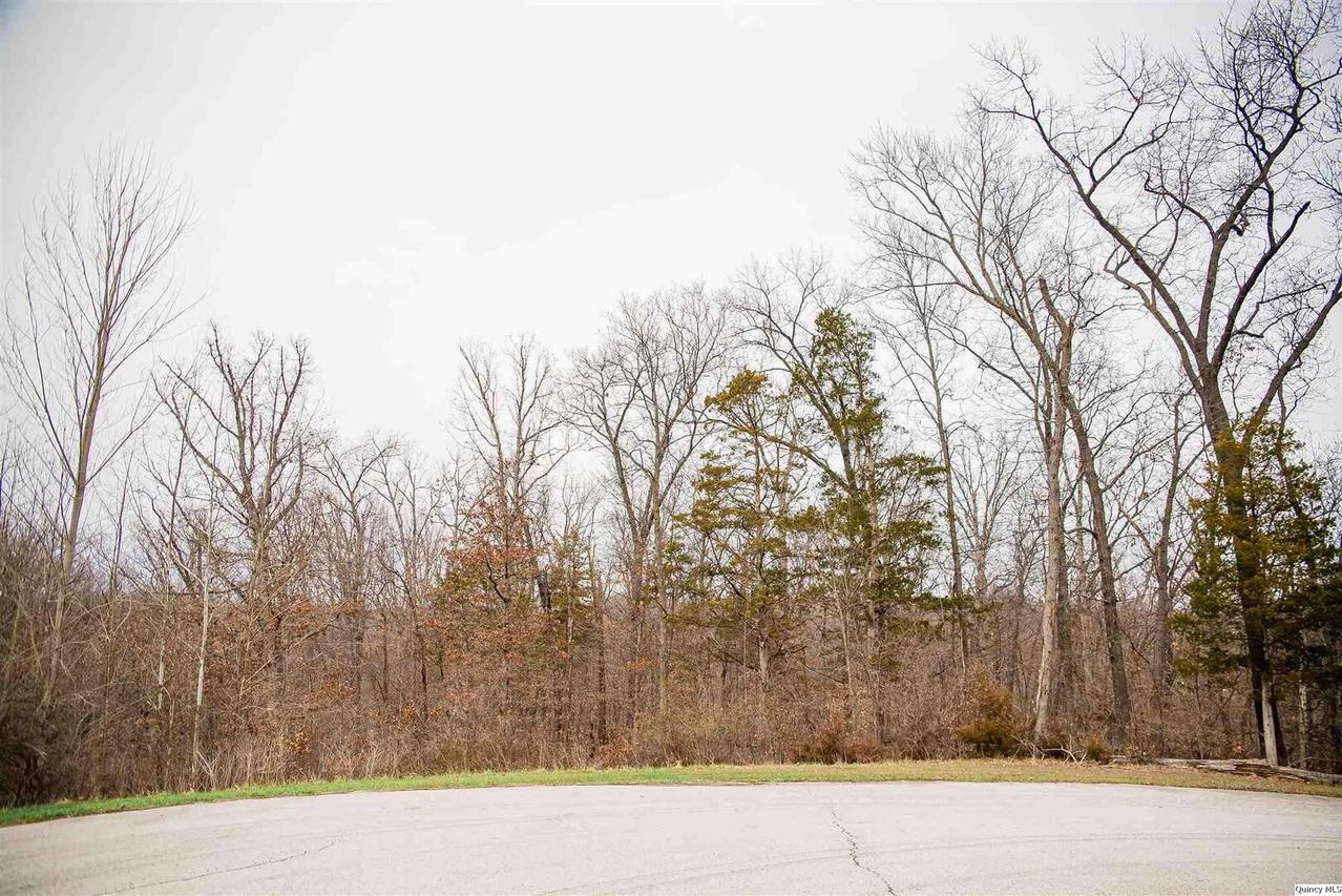 4605 Barbara Jane Ct., Quincy, IL 62305