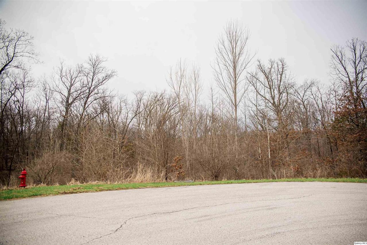 4604 Barbara Jane Ct., Quincy, IL 62305