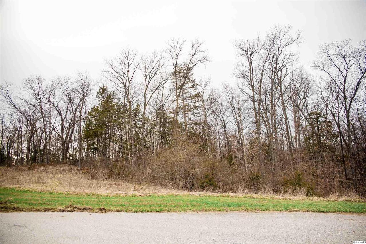 4610 Barbara Jane Ct., Quincy, IL 62305