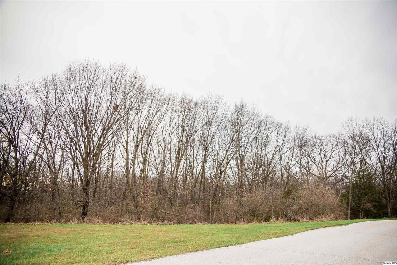 SE Cor Lot 15, Quincy, IL 62305