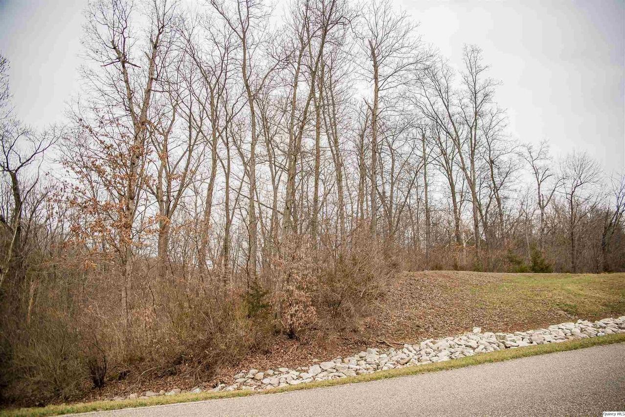 SE Sec 21 1.244 A, Quincy, IL 62305