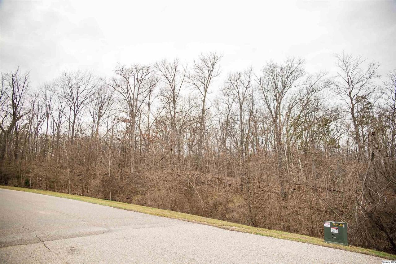 SE Sec 21 2s8w 3.139, Quincy, IL 62305