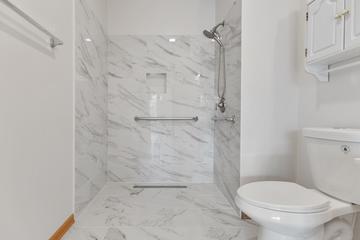 786 Bohannon Cir., Oswego, IL 60543