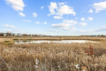 786 Bohannon Cir., Oswego, IL 60543