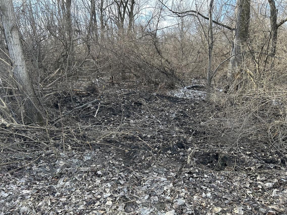 15000 15000 Rd., Pembroke Twp, IL 60958