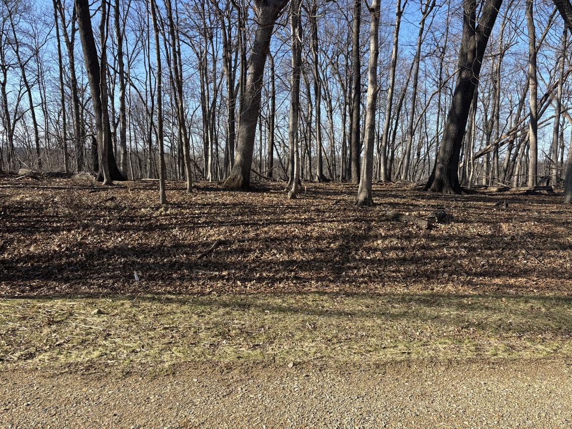 1784 Tanglewood Dr., Varna, IL 61375