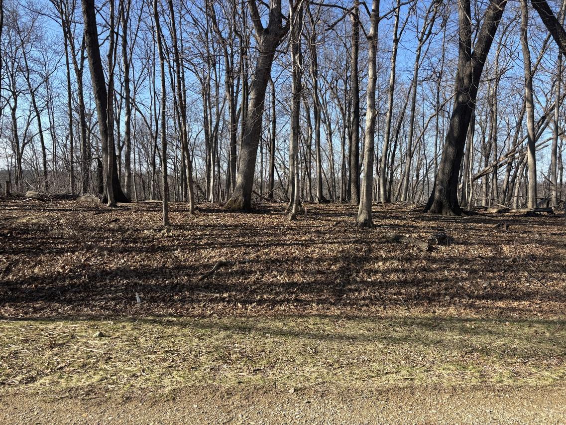 1783 Blueberry Dr., Varna, IL 61375