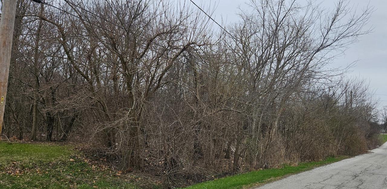 89 E 227th Pl., Steger, IL 60475