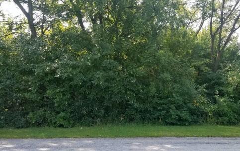 91 E 227th Pl., Steger, IL 60475