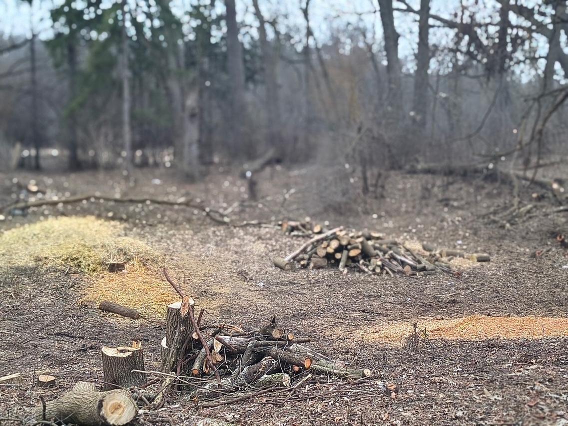 Lot 1 Asbury Ave., Fox River Grove, IL 60021