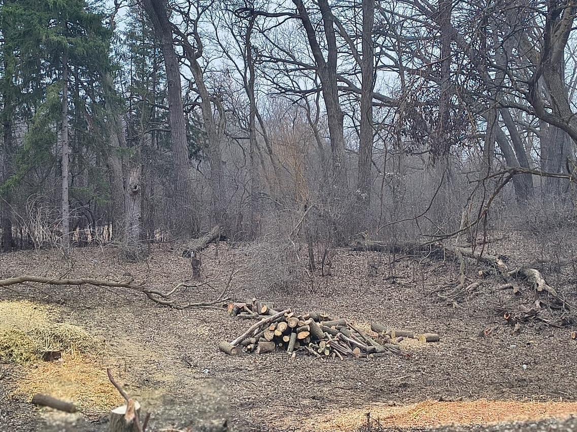 LOT 2 Asbury Ave., Fox River Grove, IL 60021