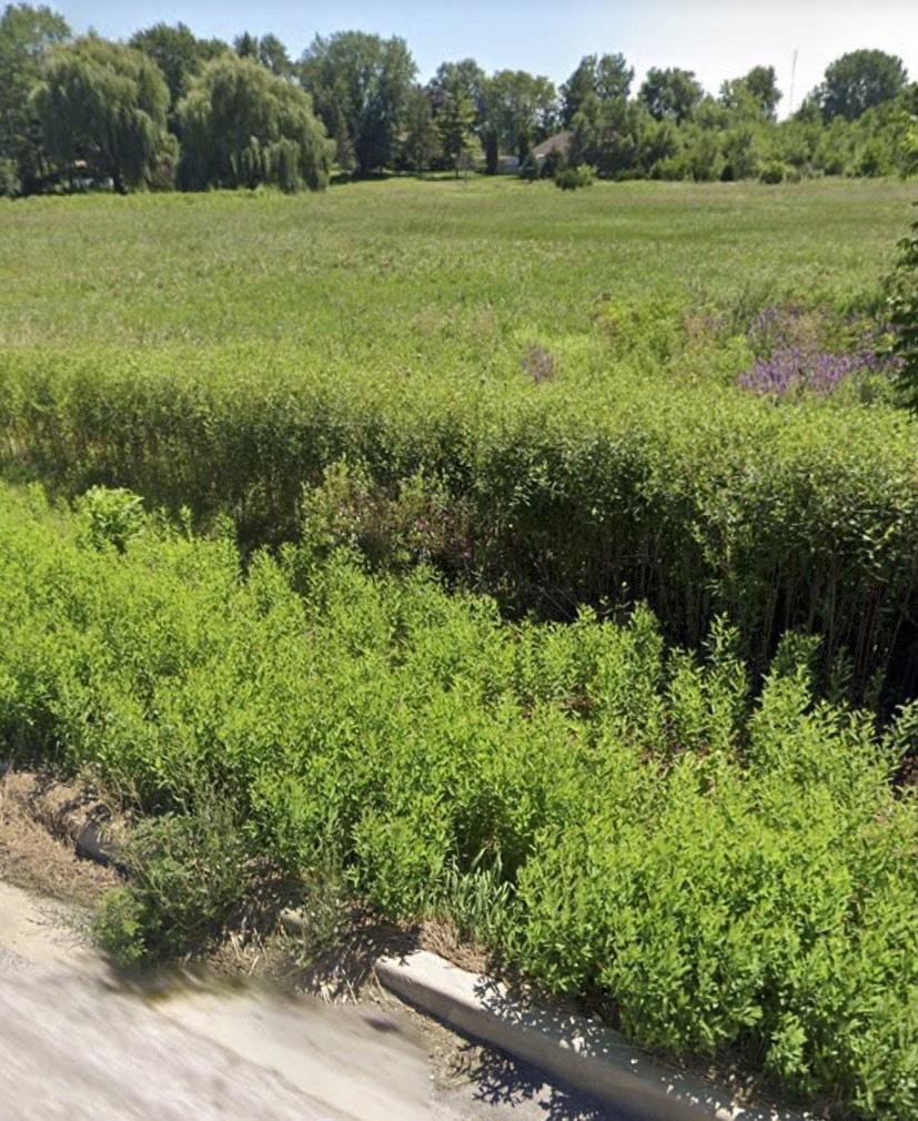 738 Crest Ave., Schaumburg, IL 60193