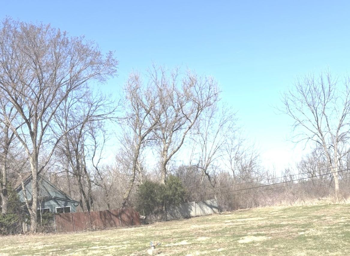 LOT 8 W Plum St., Mchenry, IL 60050