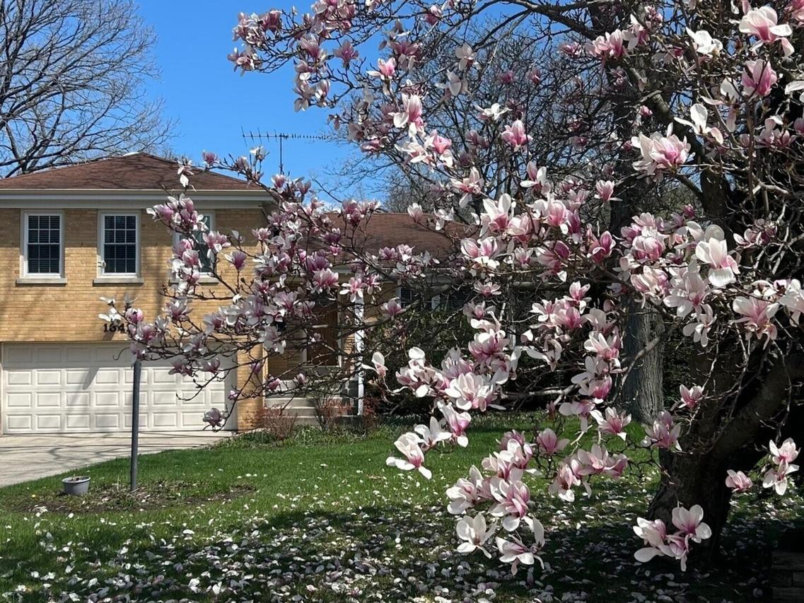 1341 Carlisle Pl., Deerfield, IL 60015