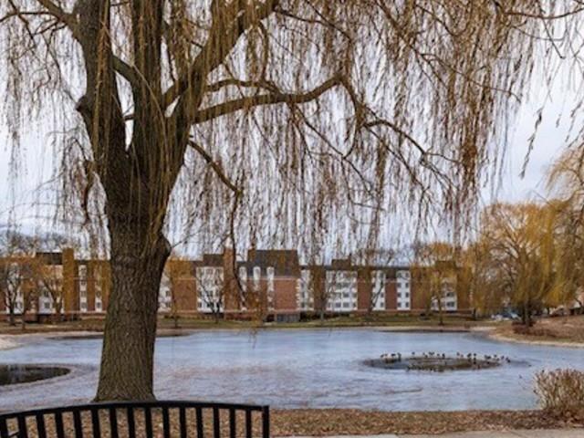 225 Lake Blvd. #517, Buffalo Grove, IL 60089