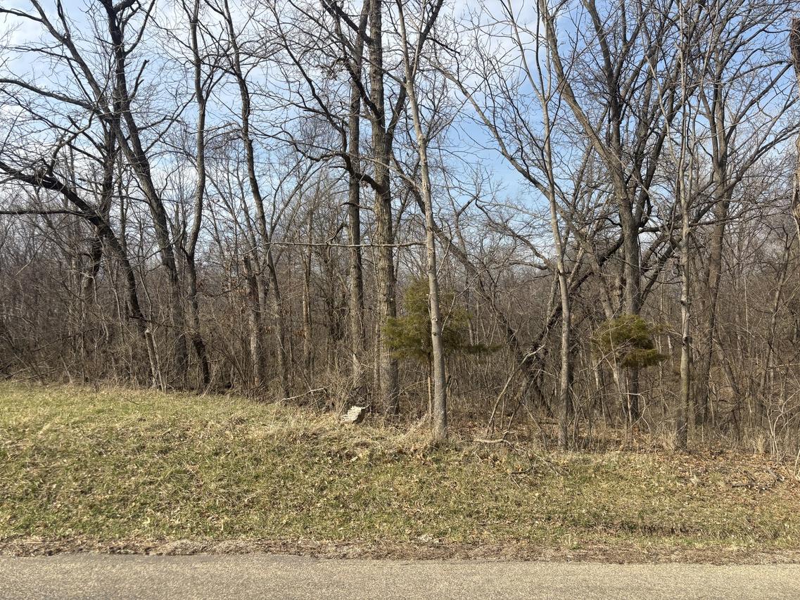 1038 Hidden Valley Dr., Varna, IL 61375