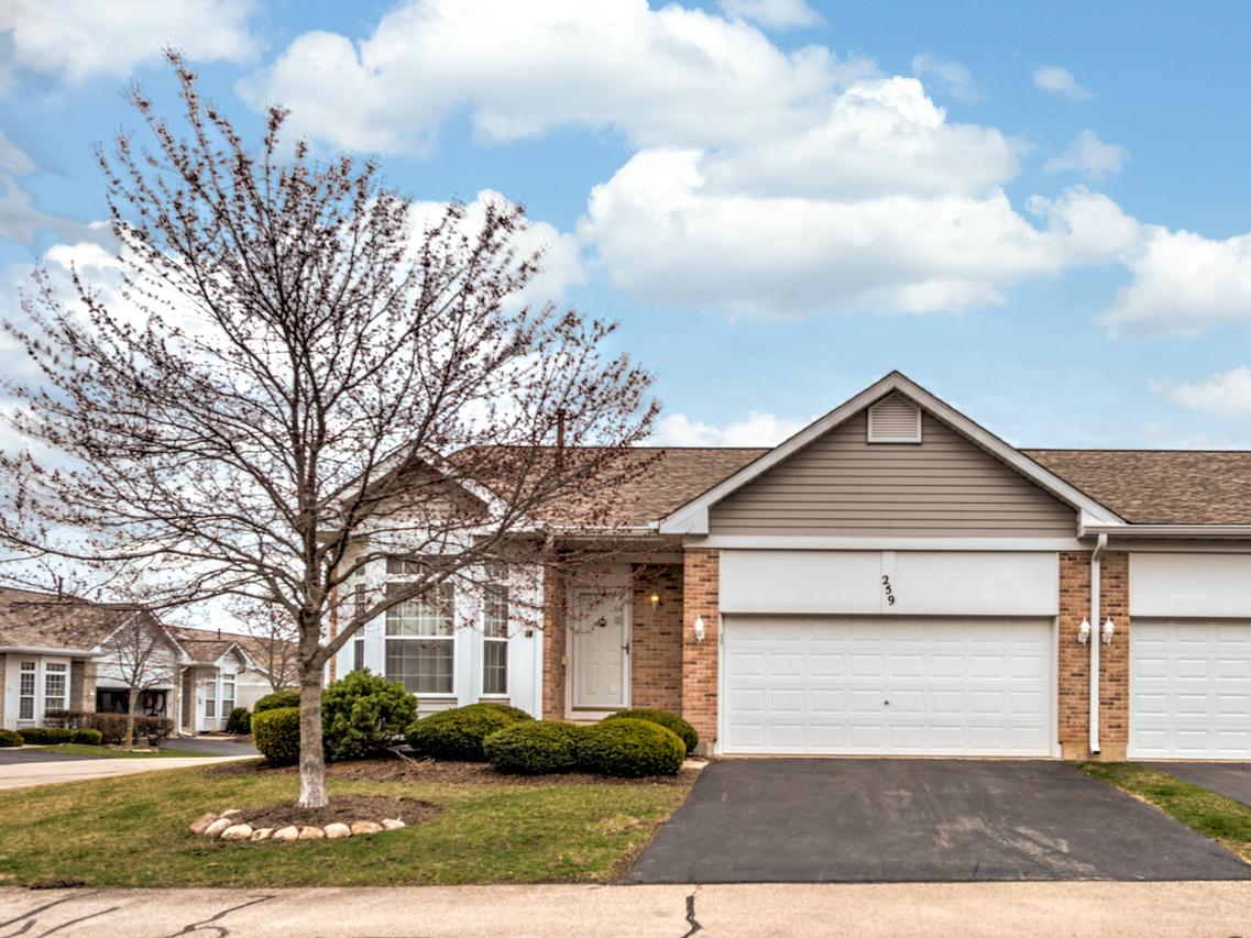 259 Firenze Dr., Cary, IL 60013