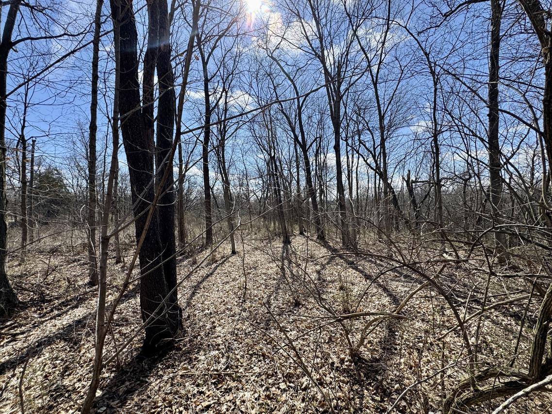 1725 E St., Tiskilwa, IL 61368