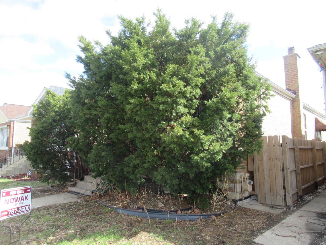 4737 S Leamington Ave., Chicago, IL 60638