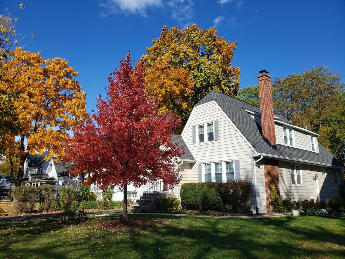 5433 Brookbank Rd., Downers Grove, IL 60515