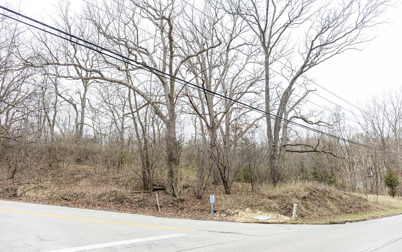 LOT 19 & LOT 18 Williams Rd., Lake Marian, IL 60110