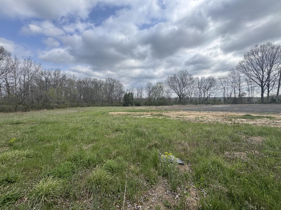 900 Old Route 146 Loop, Vienna, IL 62995