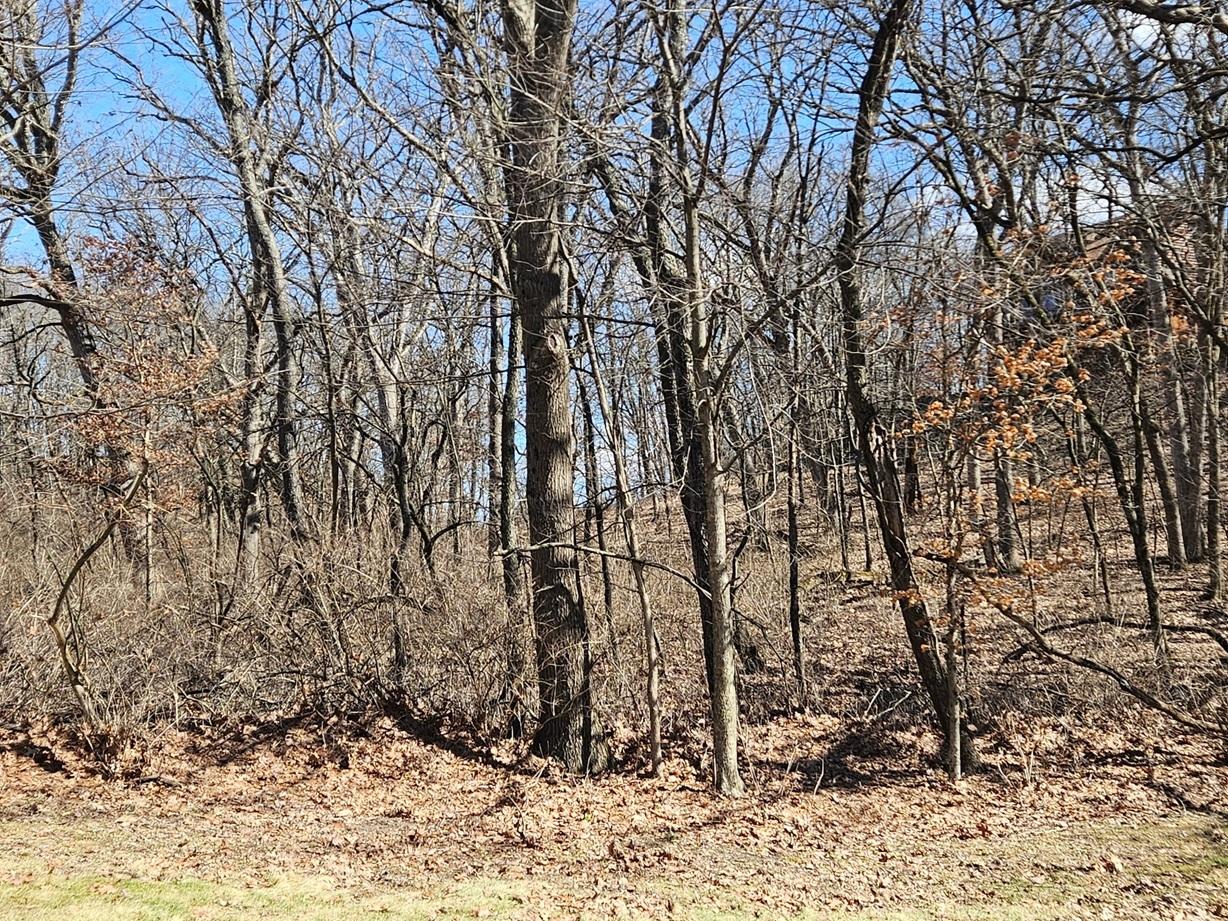 1302 Beech Ln., Dixon, IL 61021