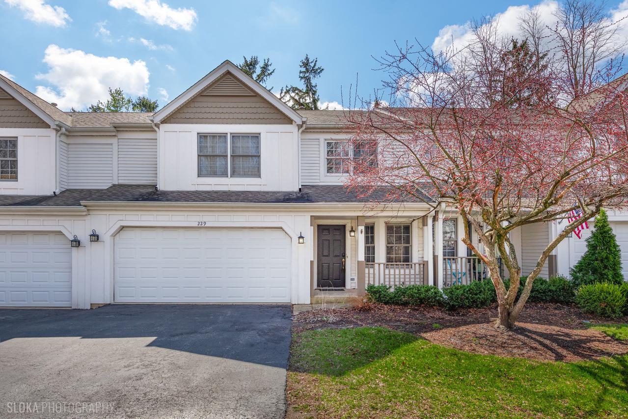 229 Spring Point Dr., Carpentersville, IL 60110