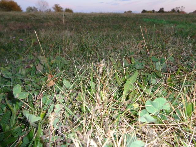 623 S State St., Lockport, IL 60441