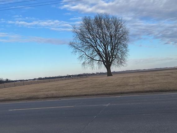 New Homes For Sale This Week in Geneseo: April 3rd to April 9th