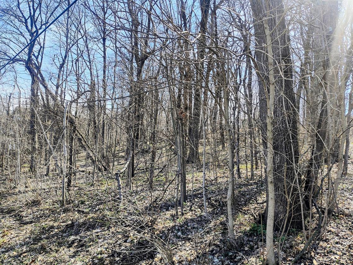 35W339-41 Riverside Dr., St. Charles, IL 60174